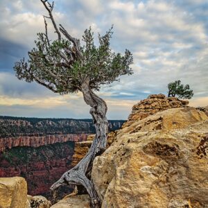 Bright Angel Point Sunrise