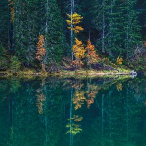 Reflections in Green