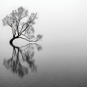 Lake Wanaka Lone Willow in Mist