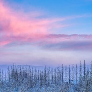 Blush Over the Horizon