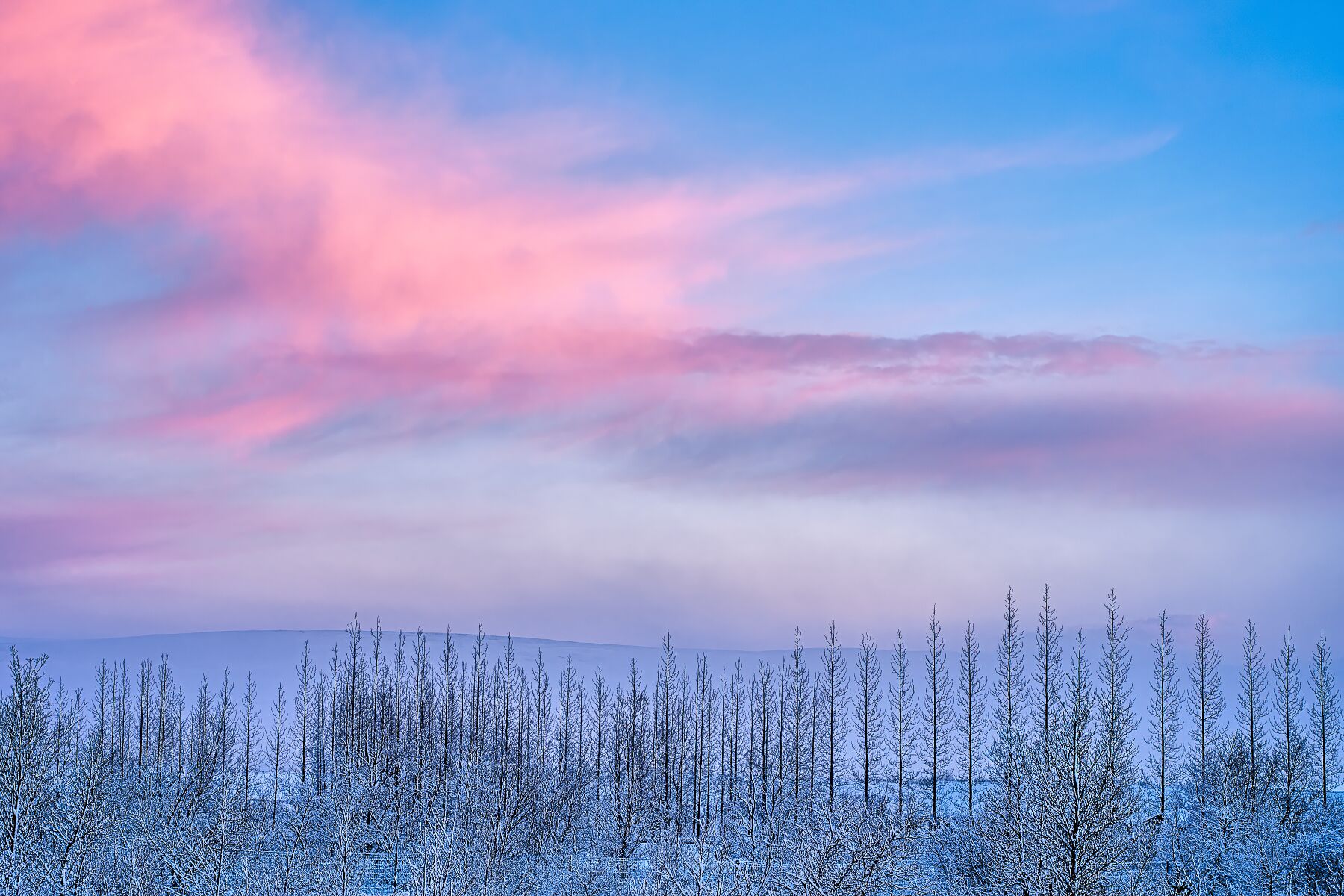 Blush Over the Horizon