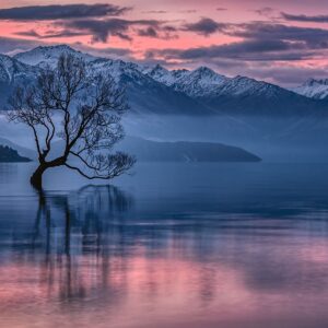 Lake Wanaka Lone Willow Sunset