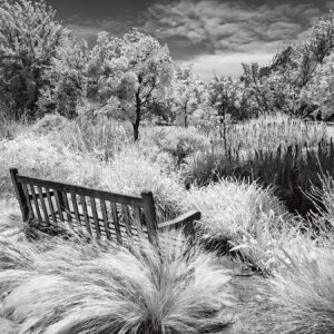 The Promise of Return